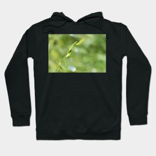 Simply Nature Painterly Hoodie